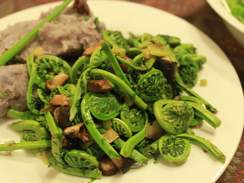 Salad dương xỉ tươi mát