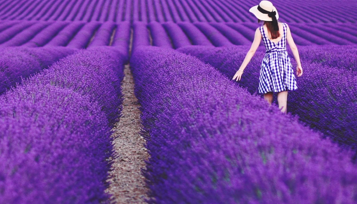 PROVENCE Pháp