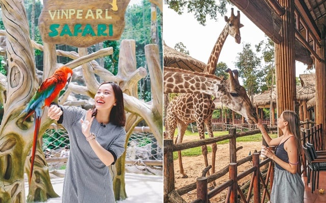 Du lịch Vinpearl Safari Phú Quốc