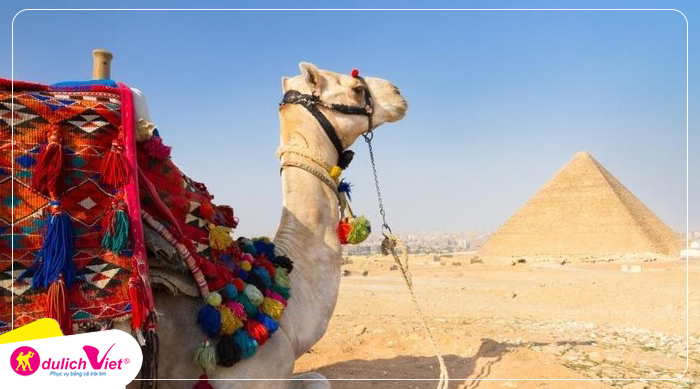 Du lịch Ai Cập khám phá Cairo - Aswan - Kom Ombo - Edfu - Luxor dịp lễ 2/9 khởi hành từ Hà Nội