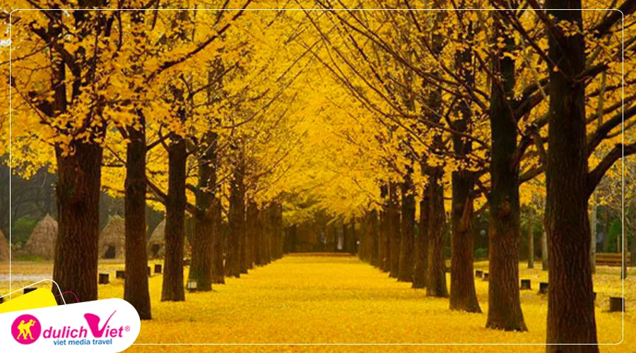 TOUR HÀN QUỐC MÙA HOA ANH ĐÀO 5N4Đ | HÀ NỘI - SEOUL - NAMI - MORNING CALM - EVERLAND - CÔNG VIÊN YEOUIDO