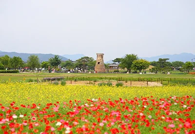 TOUR HÀN QUỐC MÙA HOA ANH ĐÀO 6N5Đ | HÀ NỘI - BUSAN - GYEONGJU - SEOUL - ĐẢO NAMI - TÀU ĐIỆN - NGẮM HOA ANH ĐÀO
