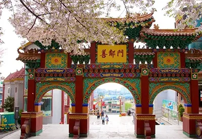 TOUR HÀN QUỐC MÙA HOA ANH ĐÀO 6N5Đ | HÀ NỘI - BUSAN - SEOUL - ĐẢO NAMI - INCHEON - NGẮM HOA ANH ĐÀO