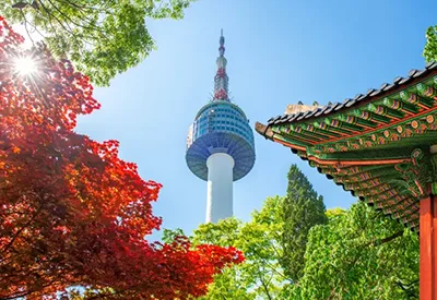 TOUR HÀN QUỐC MÙA HOA ANH ĐÀO 6N5Đ | SEOUL - JEJU - NAMI - CON ĐƯỜNG HOA ANH ĐÀO NOKSAN - DU THUYỀN JEJU - CÔNG VIÊN YEOUIDO