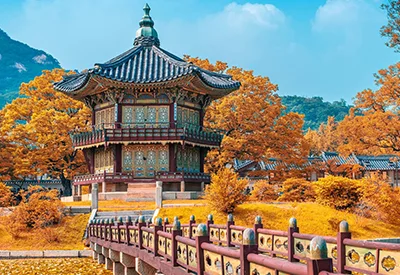 TOUR HÀN QUỐC MÙA HOA ANH ĐÀO 5N4Đ | SEOUL - NAMI - BUSAN - TÀU ĐIỆN - LÀNG VĂN HÓA GAMCHEON - NGẮM HOA ANH ĐÀO