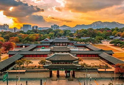 TOUR HÀN QUỐC MÙA HOA ANH ĐÀO 5N4Đ | HÀ NỘI - SEOUL - NAMI - EVERLAND - NGẮM HOA ANH ĐÀO CÔNG VIÊN YEOUIDO