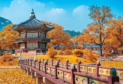 TOUR HÀN QUỐC TẾT NGUYÊN ĐÁN 5N4Đ | SEOUL - LOTTE WORLD - TRƯỢT TUYẾT ELYSIAN – THƯ VIỆN SÁCH- HÁI DÂU