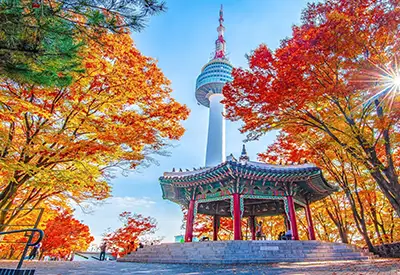 TOUR HÀN QUỐC MÙA THU 5N4Đ | SEOUL - NAMI - EVERLAND