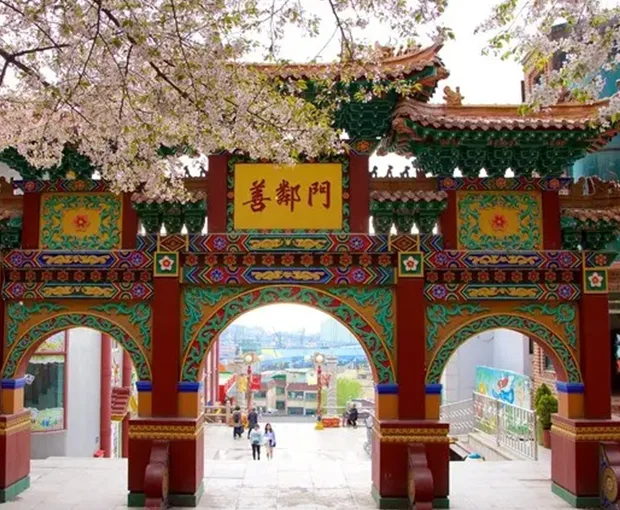 TOUR HÀN QUỐC MÙA HOA ANH ĐÀO 6N5Đ | HÀ NỘI - BUSAN - SEOUL - ĐẢO NAMI - INCHEON - NGẮM HOA ANH ĐÀO