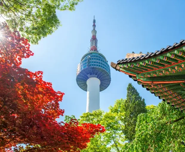 TOUR HÀN QUỐC MÙA HOA ANH ĐÀO 6N5Đ | SEOUL - JEJU - NAMI - CON ĐƯỜNG HOA ANH ĐÀO NOKSAN - DU THUYỀN JEJU - CÔNG VIÊN YEOUIDO