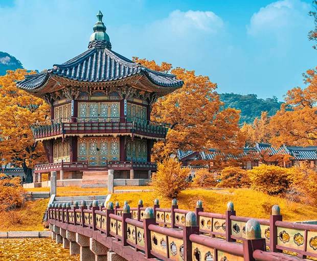 TOUR HÀN QUỐC MÙA HOA ANH ĐÀO 5N4Đ | SEOUL - NAMI - BUSAN - TÀU ĐIỆN - LÀNG VĂN HÓA GAMCHEON - NGẮM HOA ANH ĐÀO