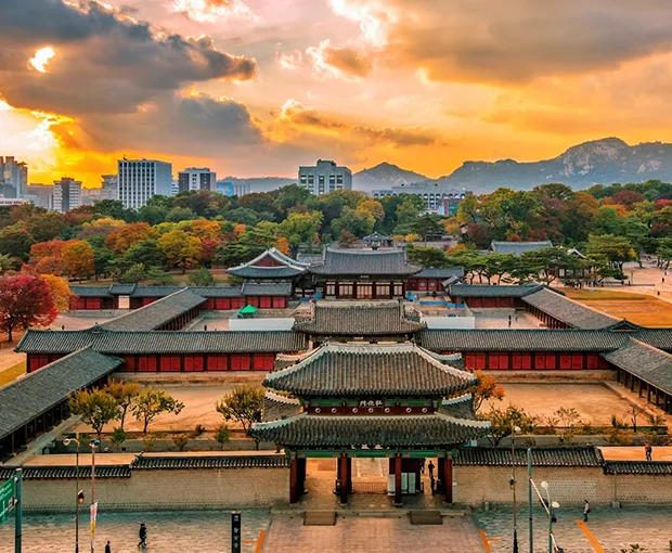 TOUR HÀN QUỐC MÙA HOA ANH ĐÀO 5N4Đ | HÀ NỘI - SEOUL - NAMI - EVERLAND - NGẮM HOA ANH ĐÀO CÔNG VIÊN YEOUIDO