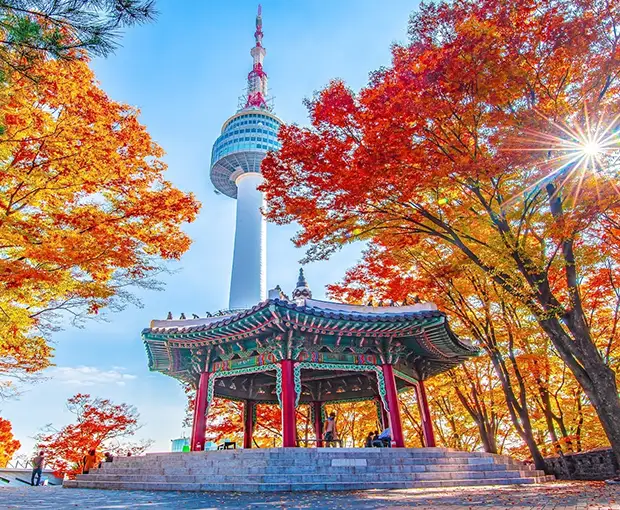 TOUR HÀN QUỐC MÙA THU 5N4Đ | SEOUL - NAMI - EVERLAND