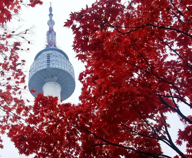 TOUR HÀN QUỐC MÙA THU 5N4Đ | SEOUL - NAMI - EVERLAND - HÁI TÁO