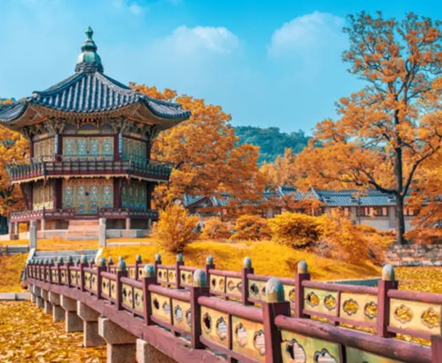 TOUR HÀN QUỐC TẾT NGUYÊN ĐÁN 5N4Đ | SEOUL - LOTTE WORLD - TRƯỢT TUYẾT ELYSIAN – THƯ VIỆN SÁCH- HÁI DÂU