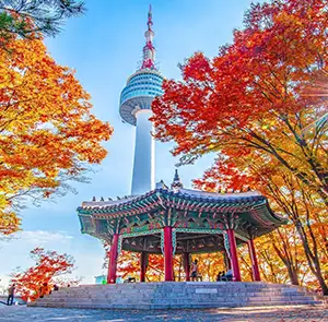 TOUR HÀN QUỐC MÙA THU 5N4Đ | SEOUL - NAMI - EVERLAND