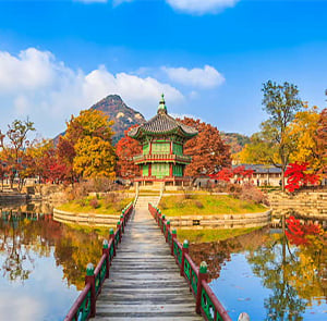 Du lịch Hàn Quốc mùa Thu - Busan - Seoul - Đảo Nami - Incheon từ Hà Nội 2025