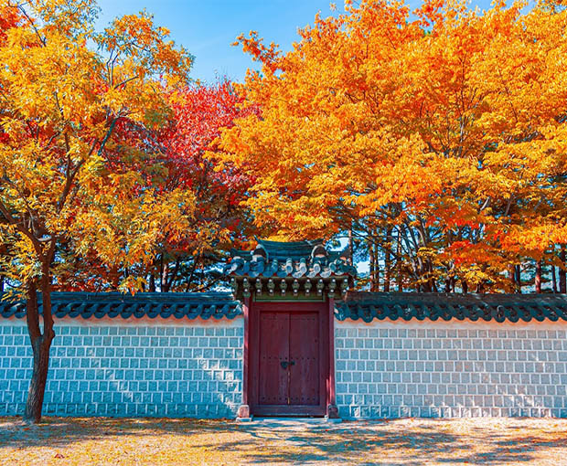 Du lịch Hàn Quốc mùa Thu - Tour Seoul - Nami - Everland - Hái Táo từ Hà Nội 2025