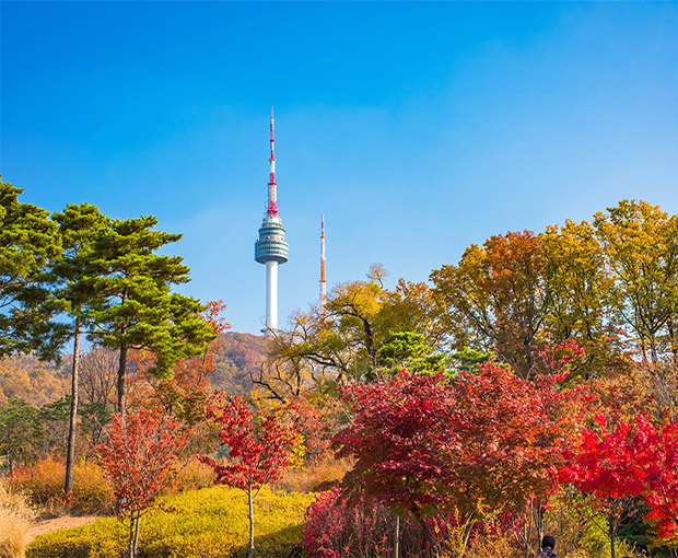 Du lịch Hàn Quốc mùa Thu - Seoul - Nami - Everland - Rừng Seoul - Hái Táo từ Hà Nội 2025