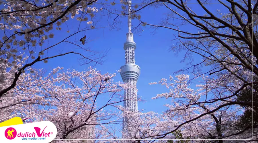 Tokyo Sky Tree