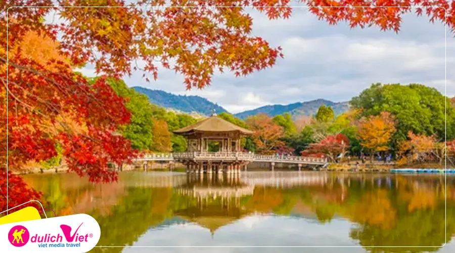 TOUR NHẬT BẢN TẾT NGUYÊN ĐÁN 6N5Đ | NAGOYA – NARA – OSAKA – KYOTO – NÚI PHÚ SĨ – NGẮM HOA ANH ĐÀO KAWAZU – TOKYO