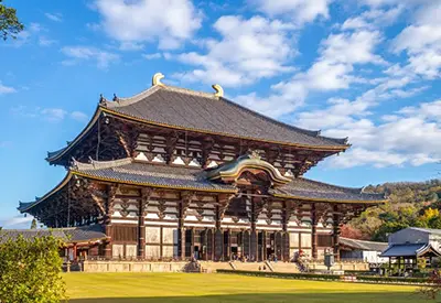 TOUR NHẬT BẢN TẾT NGUYÊN ĐÁN 6N5Đ | NAGOYA – NARA – OSAKA – KYOTO – NÚI PHÚ SĨ – NGẮM HOA ANH ĐÀO KAWAZU – TOKYO