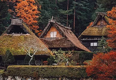 TOUR NHẬT BẢN MÙA ĐÔNG 6N5Đ | OSAKA – KYOTO – SHIRAKAWAGO – MATSUMOTO – NÚI PHÚ SĨ – TRƯỢT TUYẾT - TOKYO