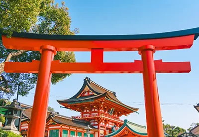 TOUR NHẬT BẢN MÙA HOA ANH ĐÀO 6N5Đ | NAGOYA - OSAKA – KYOTO – NÚI PHÚ SĨ – TOKYO (Lễ hội hoa anh đào)