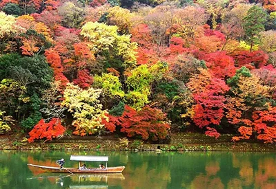 TOUR NHẬT BẢN MÙA HOA ANH ĐÀO 6N5Đ | TOKYO - NÚI PHÚ SĨ - NAGOYA - OSAKA - KYOTO