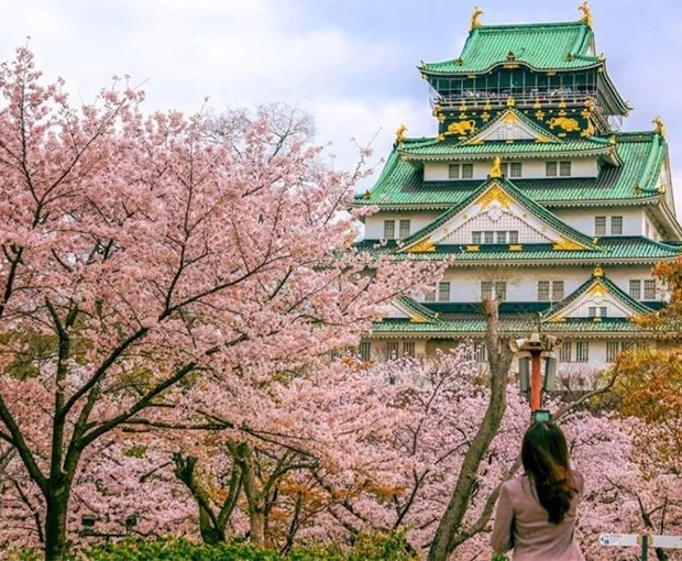 TOUR NHẬT BẢN MÙA HÈ 6N5Đ | OSAKA - NARA - PHÚ SĨ - NAGOYA - KYOTO - OSAKA