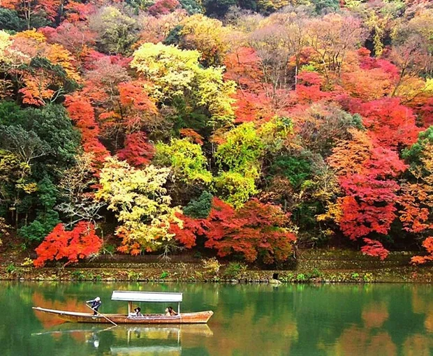 TOUR NHẬT BẢN MÙA HOA ANH ĐÀO 6N5Đ | TOKYO - NÚI PHÚ SĨ - NAGOYA - OSAKA - KYOTO