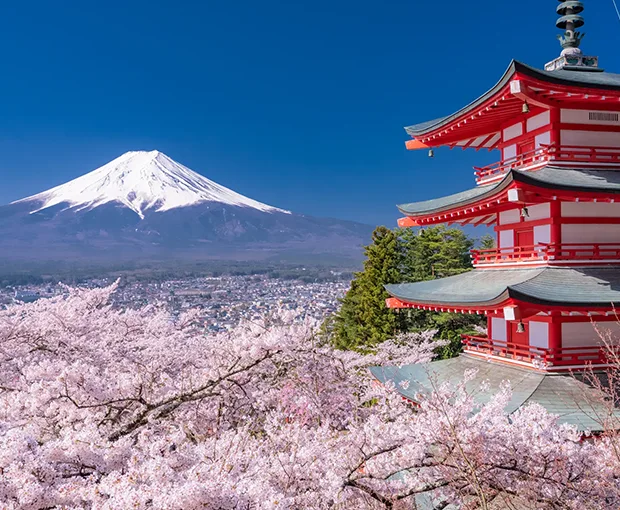 TOUR NHẬT BẢN MÙA HÈ 6N5Đ | TOKYO - PHÚ SĨ - NAGOYA - KYOTO - KOBE - OSAKA (Bay Vietnam Airlines)