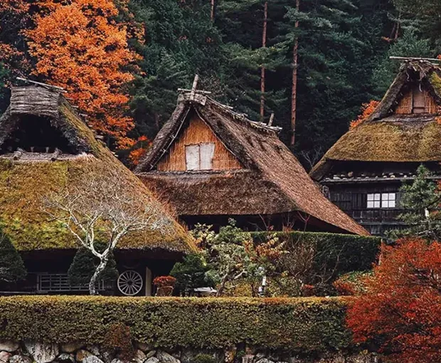 TOUR NHẬT BẢN MÙA ĐÔNG 6N5Đ | OSAKA – KYOTO – SHIRAKAWAGO – MATSUMOTO – NÚI PHÚ SĨ – TRƯỢT TUYẾT - TOKYO