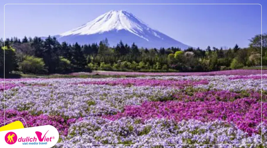 Công viên hoa Sera Fuji Garden