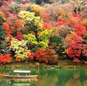 TOUR NHẬT BẢN MÙA HOA ANH ĐÀO 6N5Đ | TOKYO - NÚI PHÚ SĨ - NAGOYA - OSAKA - KYOTO