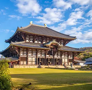 TOUR NHẬT BẢN TẾT NGUYÊN ĐÁN 6N5Đ | NAGOYA – NARA – OSAKA – KYOTO – NÚI PHÚ SĨ – NGẮM HOA ANH ĐÀO KAWAZU – TOKYO