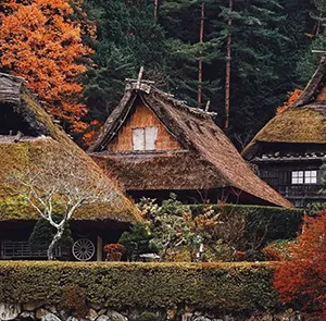 TOUR NHẬT BẢN MÙA ĐÔNG 6N5Đ | OSAKA – KYOTO – SHIRAKAWAGO – MATSUMOTO – NÚI PHÚ SĨ – TRƯỢT TUYẾT - TOKYO