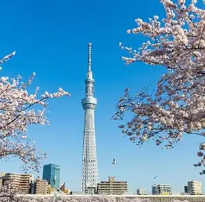 TOUR NHẬT BẢN MÙA THU 6N5Đ | OSAKA - KOBE - KYOTO - NÚI PHÚ SĨ - TOKYO