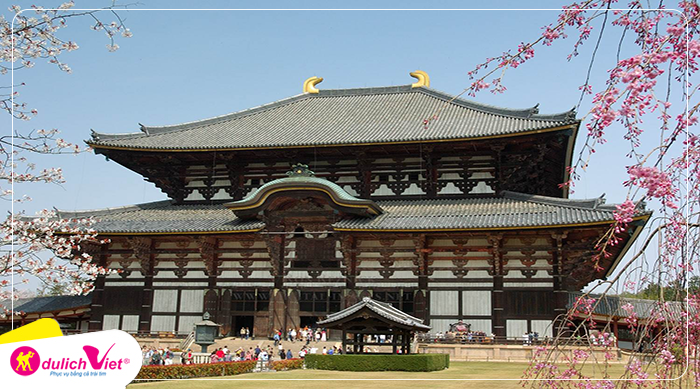 Du lịch Nhật Bản mùa Hoa Anh Đào - Tokyo - Fuji Moutain - Nagoya - Kyoto - Osaka từ Hà Nội 2025