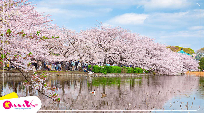 cong-vien-ueno-park-du-lich-viet