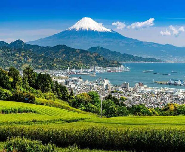 Du lịch Nhật Bản Hè - Tokyo - Fuji Mountain - Nagoya - Kyoto - Osaka từ Hà Nội 2025