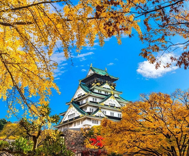 Du lịch Nhật Bản mùa Thu - Tour Osaka - Kobe - Kyoto - Núi Phú Sĩ - Tokyo 6N5Đ từ Hà Nội 2025