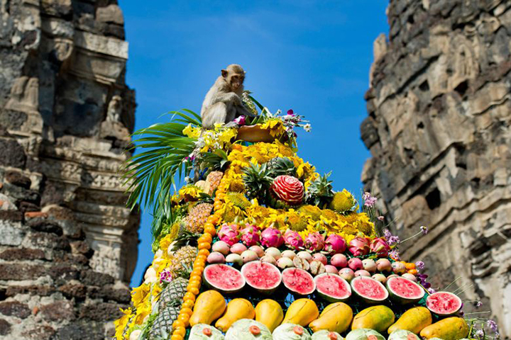 Lễ hội khỉ ở Lopburi