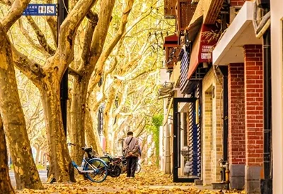 TOUR TRUNG QUỐC MÙA XUÂN 6N5Đ | HÀNG CHÂU - TÂY Ô TRẤN - THƯỢNG HẢI