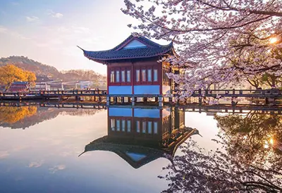 TOUR TRUNG QUỐC MÙA ĐÔNG 6N5Đ | HÀNG CHÂU - THƯỢNG HẢI - TÔ CHÂU - HÀNG CHÂU