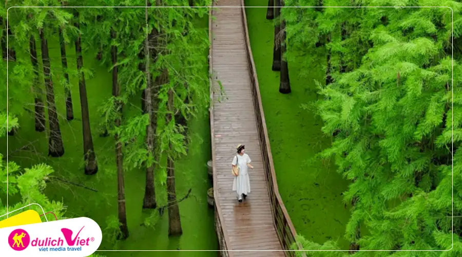 TOUR TRUNG QUỐC MÙA THU 5N4Đ | ĐỒN KHÊ - HOÀNG SƠN - HOÀNG THÔN - BỘC VIỆN CỔ TRẤN - THƯỢNG HẢI - HÀNG CHÂU