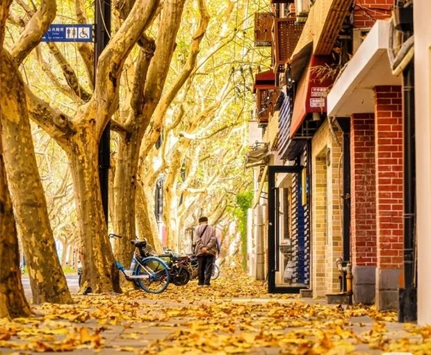 TOUR TRUNG QUỐC MÙA XUÂN 6N5Đ | HÀNG CHÂU - TÂY Ô TRẤN - THƯỢNG HẢI