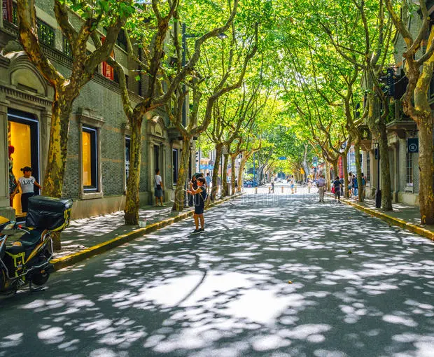 TOUR TRUNG QUỐC TẾT NGUYÊN ĐÁN 7N6Đ | BẮC KINH - HÀNG CHÂU - Ô TRẤN - THƯỢNG HẢI