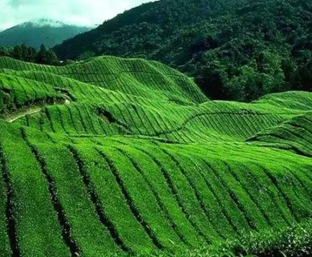 TOUR TRUNG QUỐC MÙA THU 3N2Đ | BÌNH DIÊN - DI LẶC - KIẾN THUỶ - MÔNG TỰ