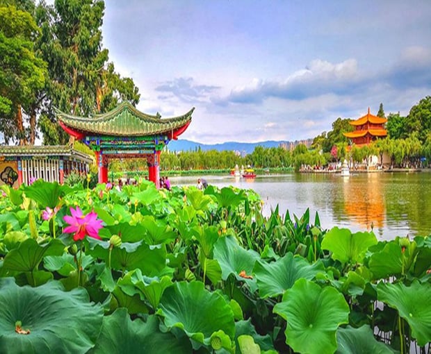 Du lịch Trung Quốc mùa Hoa Anh Đào - La Bình - Nghi Lương - Côn Minh từ Hà Nội 2025